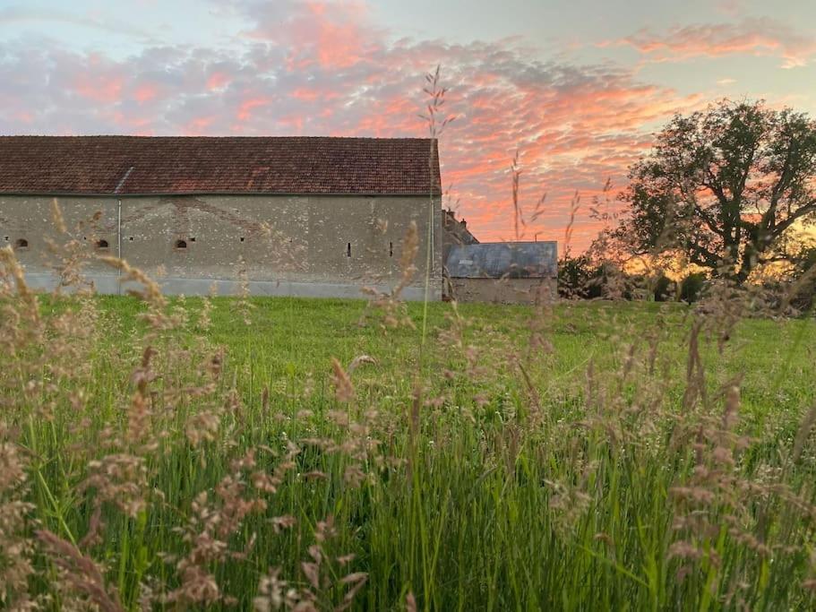Villenouan Domaine Et Gites Lailly-en-Val Exterior photo